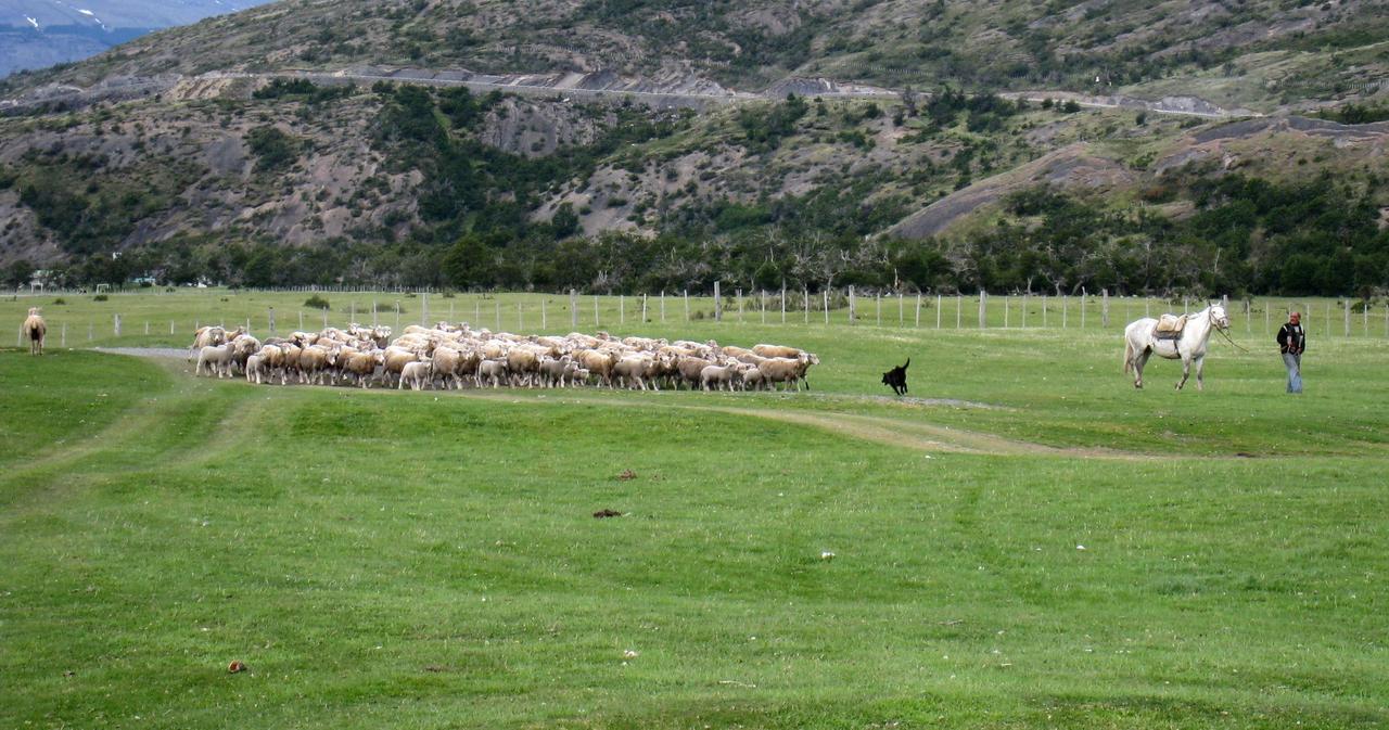 Vista Al Paine - Refugio De Aventura Bed & Breakfast Torres del Paine National Park Exterior photo